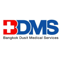 BDMS Group
